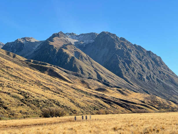 Alternate range zero in New Zealand